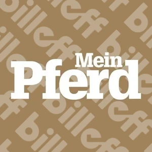 Mein Pferd kündigen - Anleitung & Rechte 2026